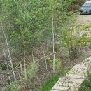 펫포레스트 반려동물장례식장 남양주점 | 펫포레스트 반려동물장례식장 남양주점에서 품위 있는 동물 장례식장