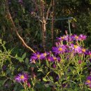 문경새재로펜션 이미지