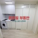 이화 스테이 이미지