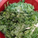 별량그린 이미지