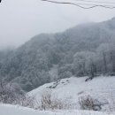 설국농장 이미지