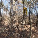 이경일농장 이미지