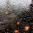 JH라피네 이미지