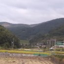 고향 이미지