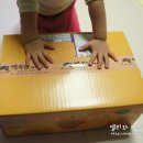 백록담제주특산품
