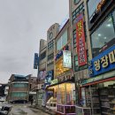대천회집 | 대천 조개구이 키조개삼합 대천해수욕장맛집 해마루횟집조개구이 후기