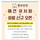 똥꾸멍멍 이미지