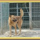 송도축산 이미지