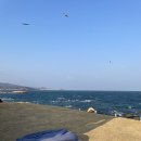 더웨이브 | [경주] 감포 오션뷰 펜션 더웨이브 내돈내산 숙박 솔직후기 / 감포 오션뷰 숙소 추천 / 오션뷰 하나로...