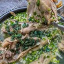 [전남 곡성] 곡성 맛집 “청계참다슬기” 섬진강뷰 야외식당 닭구이 닭백숙 코스요리