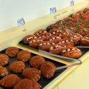 카멜 | 제주 행원리 카페｜픽업카페 팝업스토어 다녀온 후기 + 카멜커피