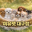 도그플러스 동물병원(미유펫 대구점) 이미지