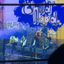 낭만왈왈이 이미지