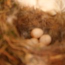 자연과 사람들 이미지