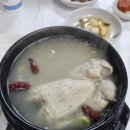 토지삼계탕 - 장흥군 | 토지삼계탕