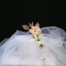 바디플라워 이미지