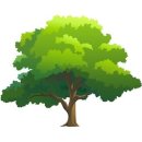 I&#39;ll Still Be Here 이미지