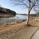 로드짐 군산점 | 아이와 4km 공복 러닝 해보니, 40대 다이어트 효과가 달랐다 (실제 후기)