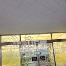 우포2로 | 경남 아이랑 창녕 우포곤충나라 내돈내산 방문 후기