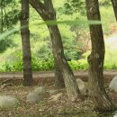 경산애국밥 | 충절의 숨결이 강진 화산재(花巖齋)와 화암사(花巖祠)