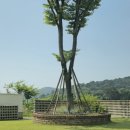 스테이 마당 이미지