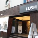 퍼피앤캣 이미지