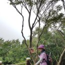 제주평화음악회 이미지