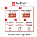 이삭의류 | 유니클로 감사제 2026 기간 세일 품목 에어리즘 할인 사은품 직접 후기 정리