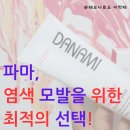 단백질 헤어 에센스로 모발 건강 챙기기! 다나미 트리트먼트 에센스 추천