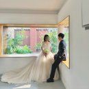 김성준 | 서울 애견동반 스튜디오 | 루미에 스튜디오 김성준 작가님 강아지 웨딩촬영 후기 (위드브라이드, 히엘)