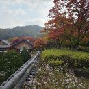 10월16일(목)~17일(금) 가평 백련사 템플스테이 (마감합니다) 이미지