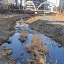 천안천9길 이미지