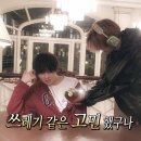 멍멍이랑 사랑하기 | 일기: 아무래도 네가 아님 안되겠어