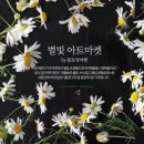 에버마켓 이미지