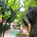 파랑새 어린이공원 이미지