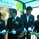 붓으로여는세상
