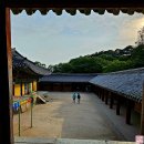 현리10-16농로 | 국토순례 자전거 인문기행 2,500km 여정을 마치며