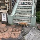 카페 루틴 이미지