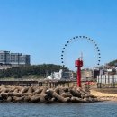 비스타마트 | 속초 마리 비스타 호텔 조식 주차 후기 애견 동반