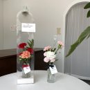 플로리그린
