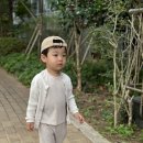 푸치베베 이미지
