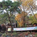 용문산자연휴양림 이미지