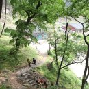전국자연휴양림 네이버블로그
