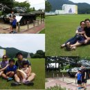 정욱목장 Daum카페
