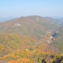 강천산군립공원 이미지