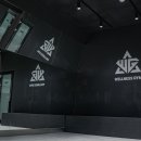 웰니스짐 이미지