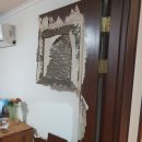 장지6통 (벽산블루밍아파트2단지) (옥내1) | 부서진 안방문 문짝을 새 ABS도어로 교체했어요(feat.광주 장지동 벽산블루밍1단지 방문짝 교체비용)