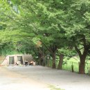 수목원캠핑장 이미지