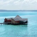 진성한의원 이미지