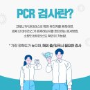 푸른신경외과 이미지